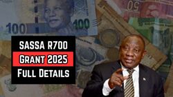SASSA R700 Grant 2025: Eligibility Rules, Application Steps And Payment Schedule