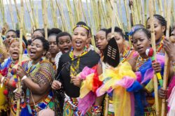 Umkhosi Womhlanga Photos: Celebrating the Zulu Reed Dance Tradition