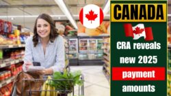 Canadian Households Grocery Rebate October 2025 – New Payment Amounts, Eligibility for Single and Couple Families