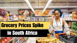 October Alert: Grocery Costs Jump Across SA – Bread Flour and Edible Oils Lead the rise, What to know