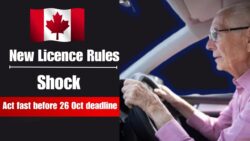Over 70 Motorists in Canada – Act Before 26 October 2025 as New Senior Driver Licence Assessments Start, Who is affected